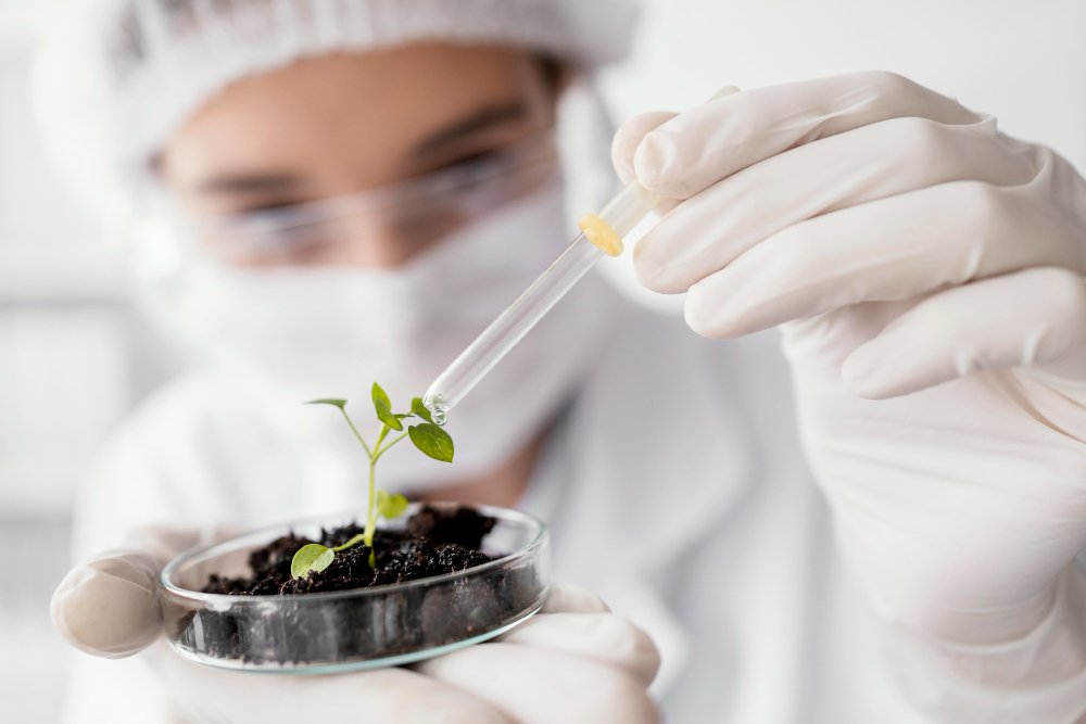 Environmental laboratory analysis with plant sample